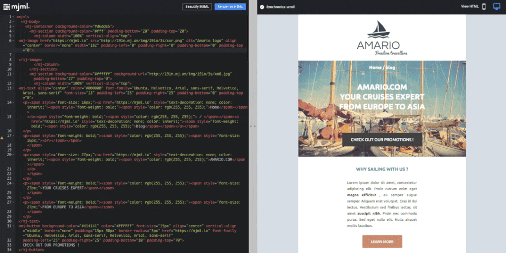 mjml passport example