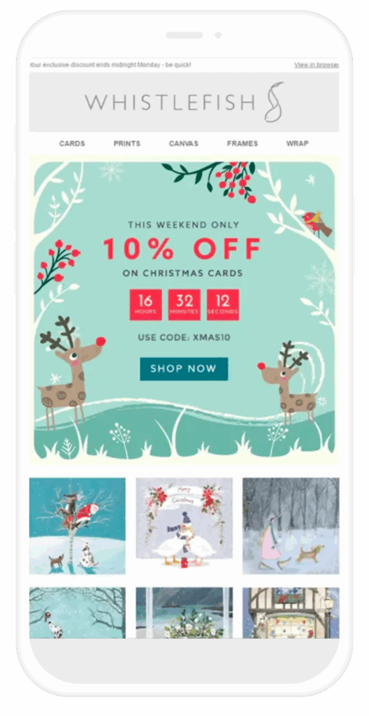 Email de Whistlefish con un diseño elegante con una cuenta atrás y varios de sus productos.