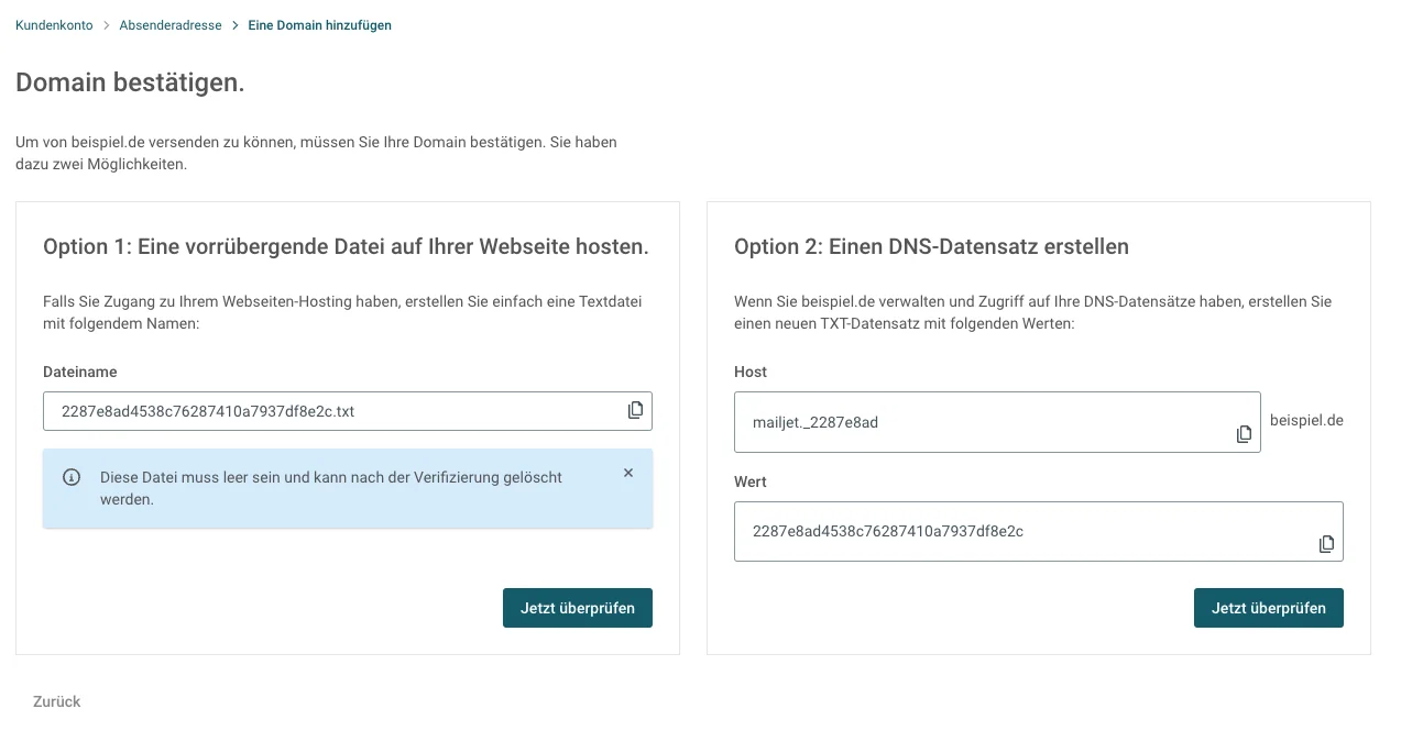 Abbildung die zeigt, wie eine Domain bei Mailjet bestätigt wird und DSN eingerichtet wird.