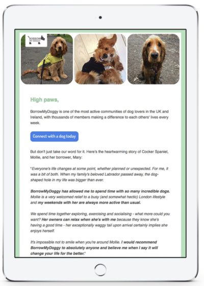 Email-Borrowmydog-e1585729431256