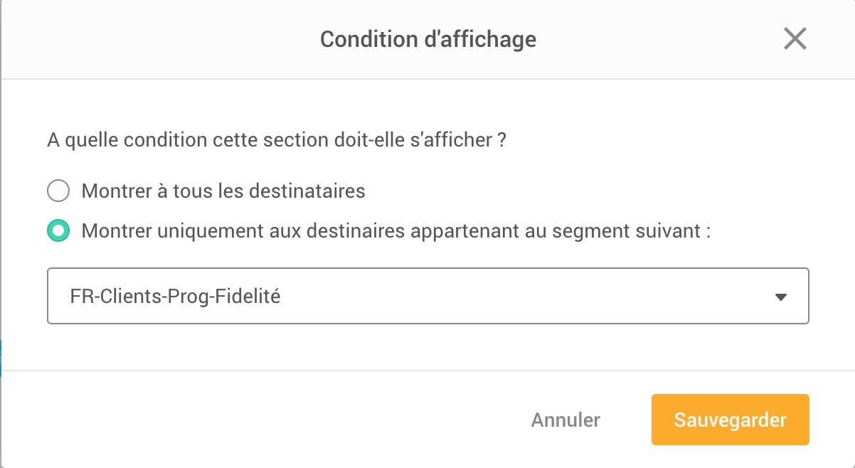 FR-segment-dynamic-sections