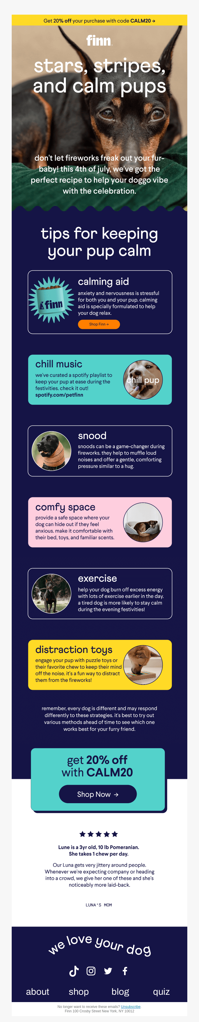 A fourth of July email campaign giving advice to pet owners