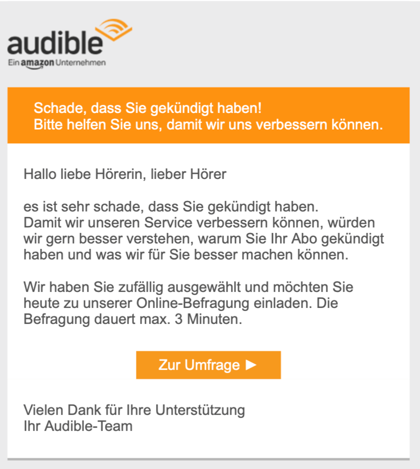 Beispiel einer Feedback E-Mail