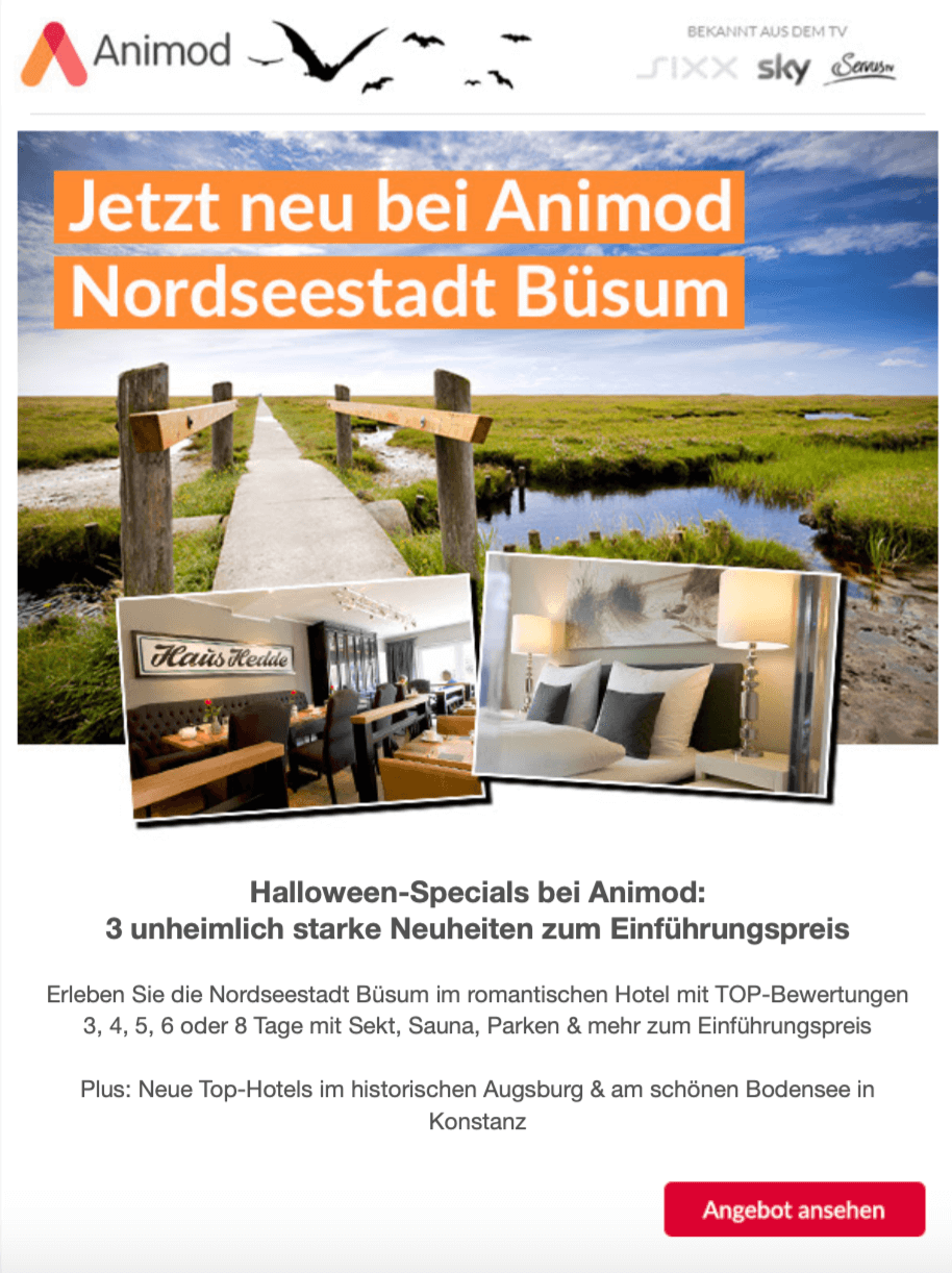 Halloween Marketing: Newsletter von Animod mit Halloween-Specials