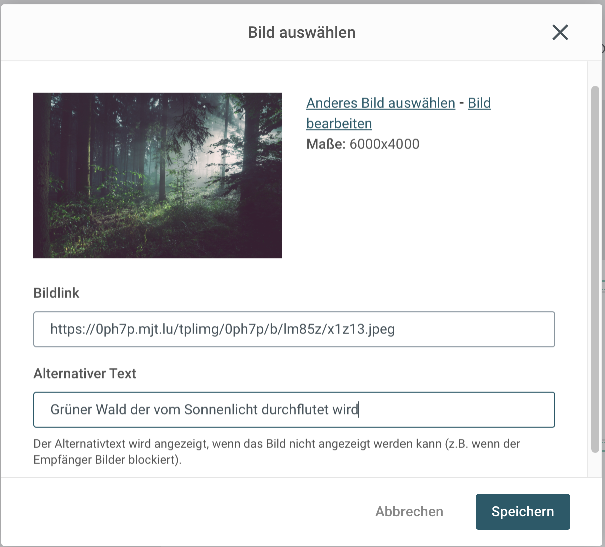 Alt-Text Eingabe mit dem Mailjet E-Mail-Editor
