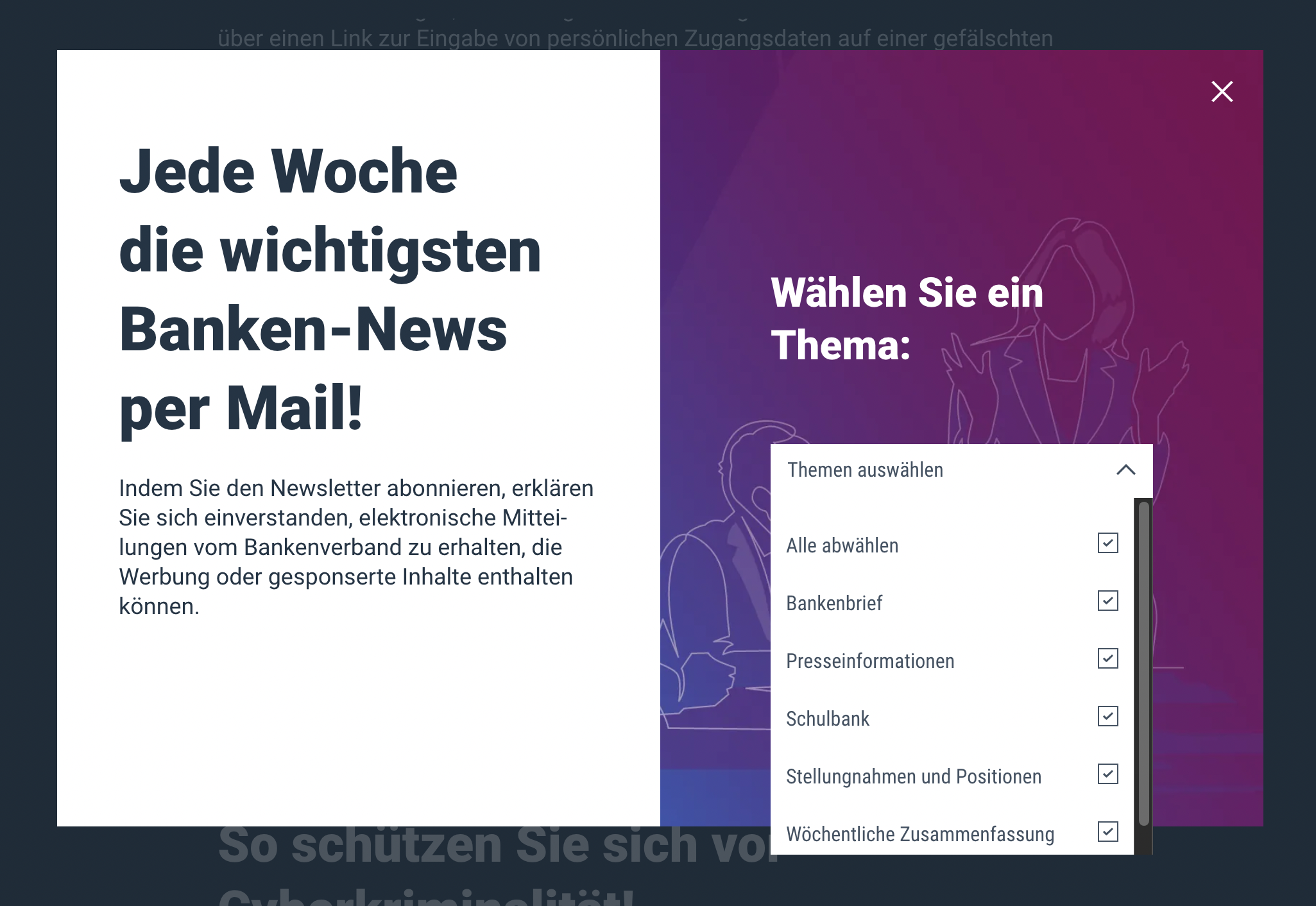 Bild von Auswahlmöglichkeit von Themen für den Newsletter bei bankenverband.de