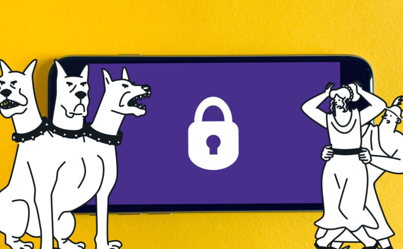 Image for Privacy Shield: Not quite there yet