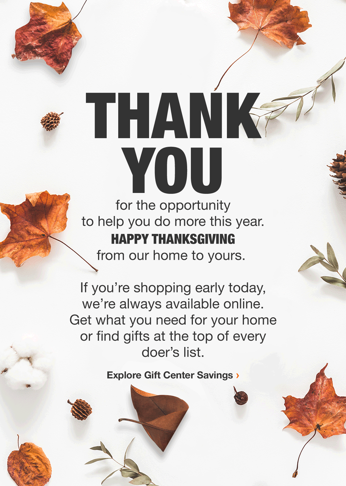 The Home Depot email