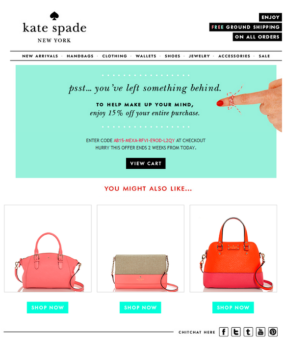 Shopping cart abandonment email featuring product suggestions.