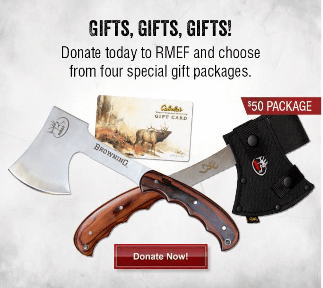 Email campaign requesting donation