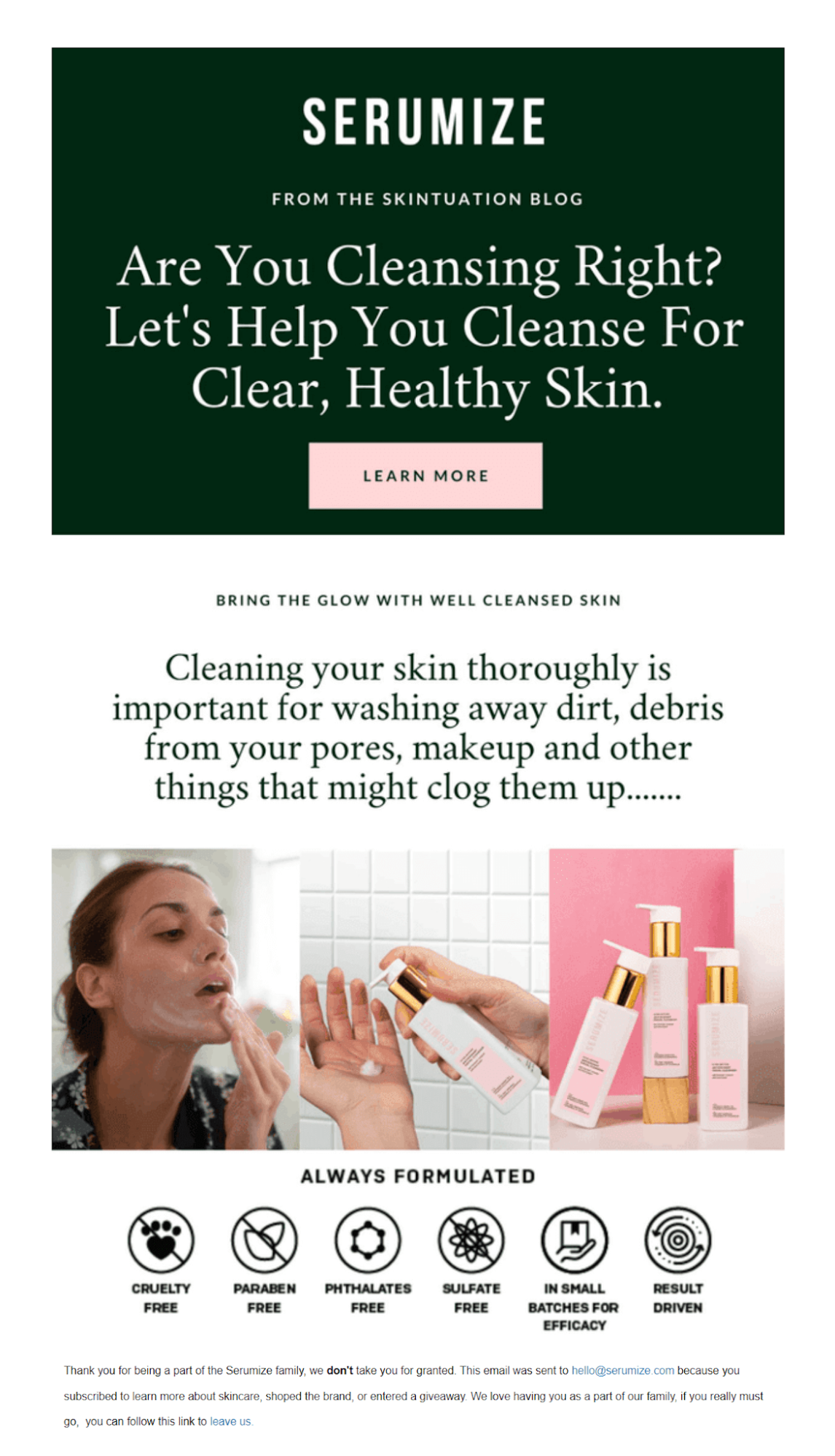 Green and pink newsletter theme