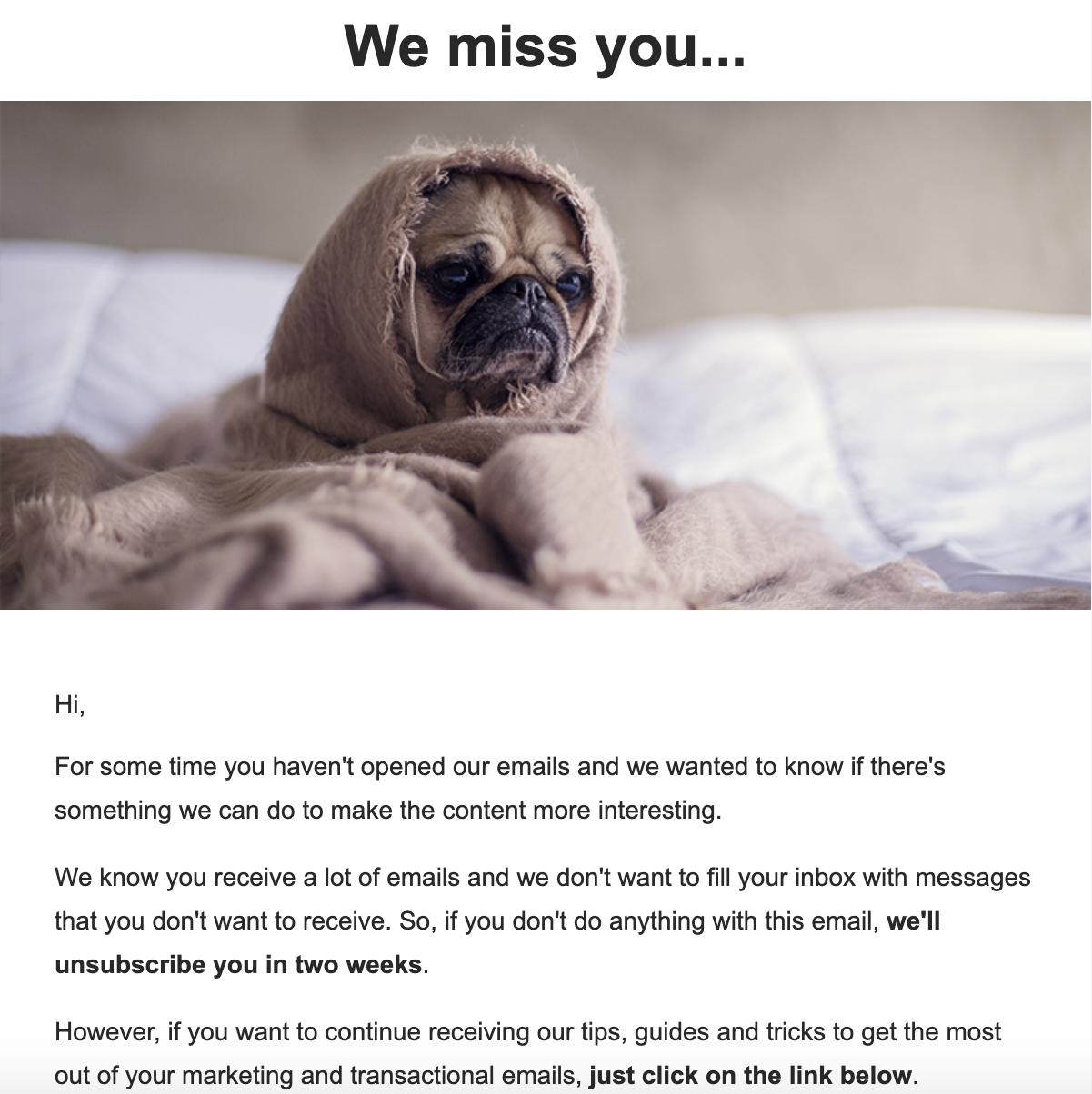 Campagne de ré-engagement avec une photographie de chiot.