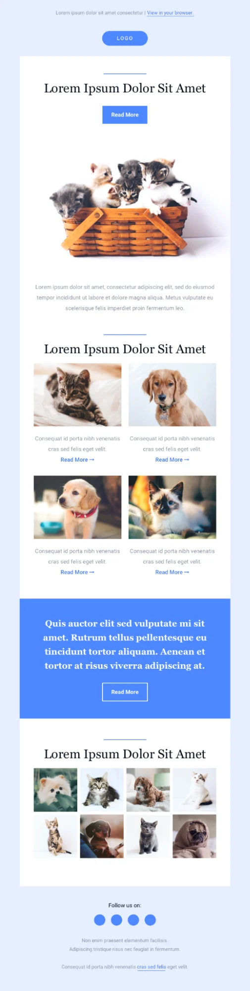 Nonprofit email templates for dog charity.