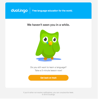 Re-engagement email from Duolingo