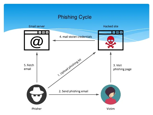 Graph showing how a phishing cycle works