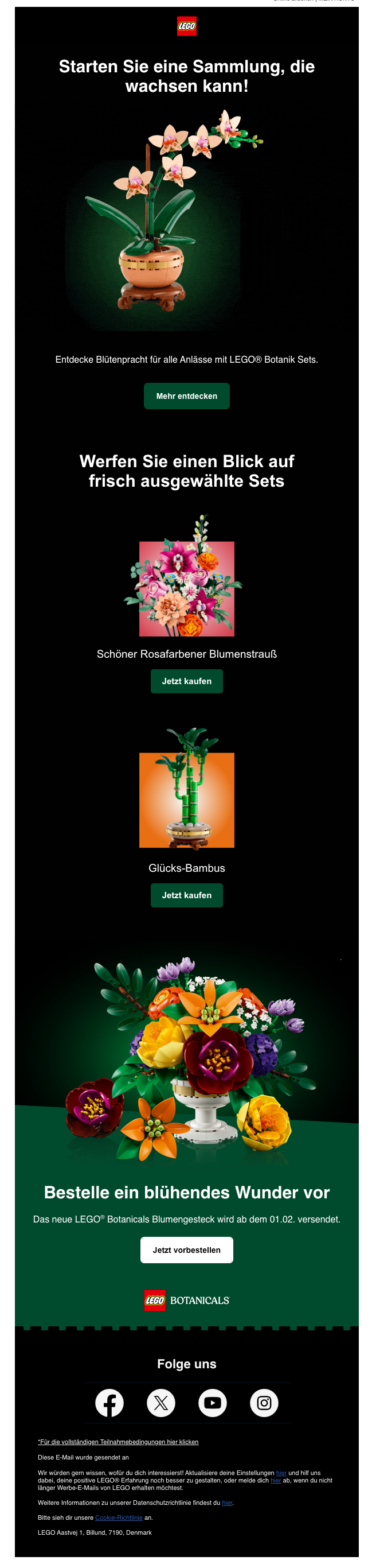 Newsletter von Lego der im Januar 2025 verschickt wurde und diverse Legoblumen-Sets präsentiert.