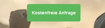 Call-To-Action-einer-Landingpage-5