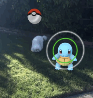 pokemon-go